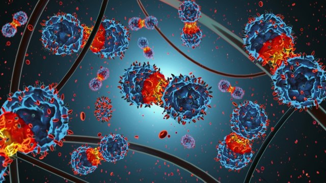 Dva proteina presudna za ulazak koronavirusa u ćelije
